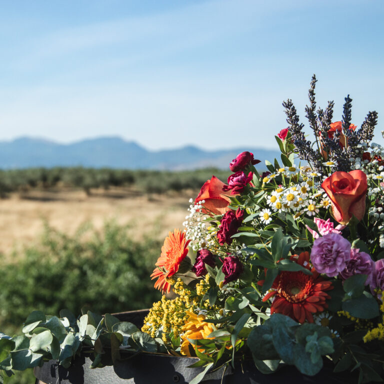 Fiori di campo