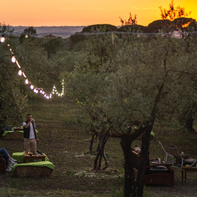 Il vigneto allestito con divani e balle di fieno